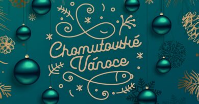 2022 chomutovske vanoce 01