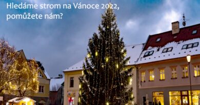 jirkov vanocni strom 22